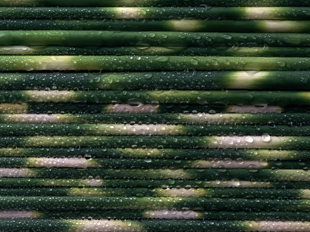 1680 fleurs vertes feuilles fond d'écran (3) #7 - 1024x768