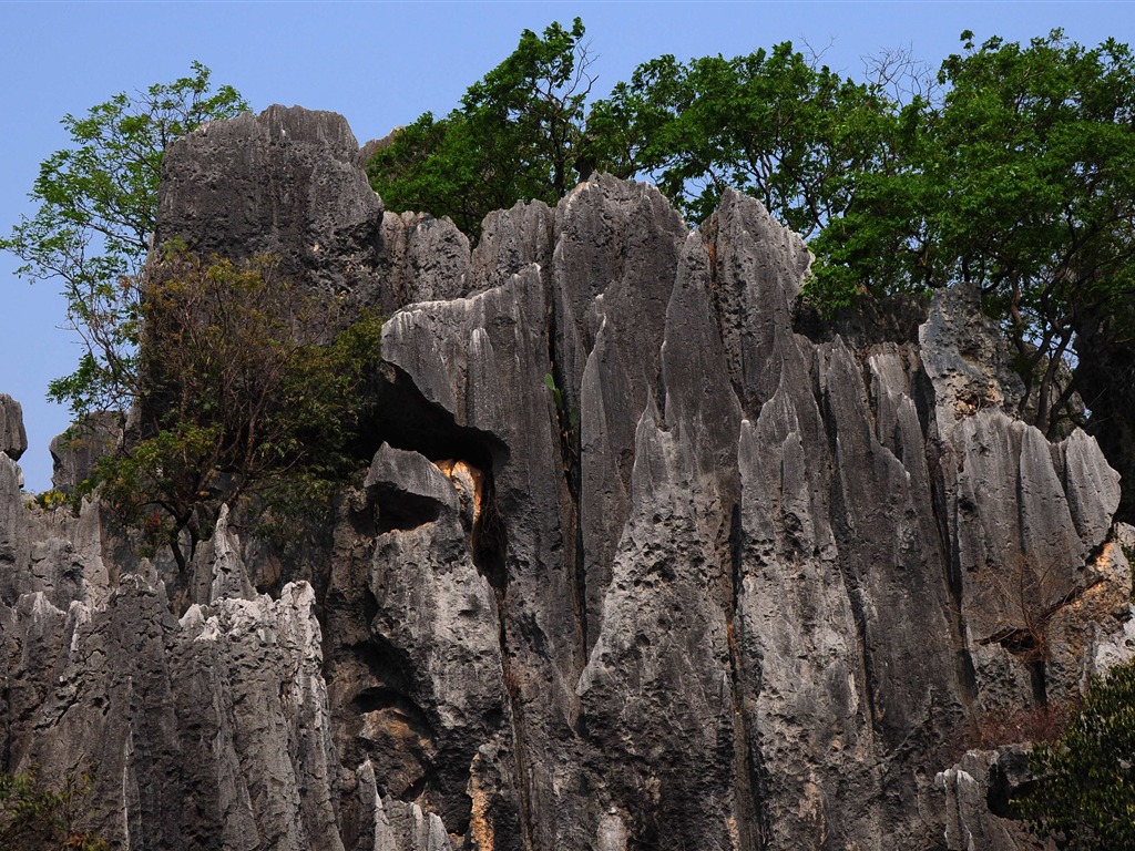 Каменный лес в провинции Юньнань линии (2) (работ киданей волка) #4 - 1024x768