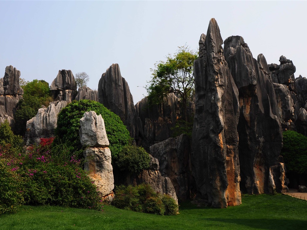 Stone Lesní v souladu Yunnan (2) (Khitan vlk práce) #13 - 1024x768