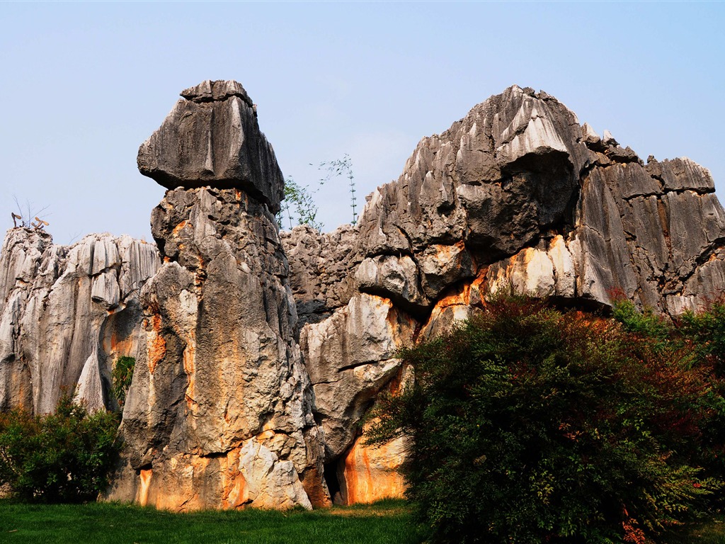 Каменный лес в провинции Юньнань линии (2) (работ киданей волка) #26 - 1024x768