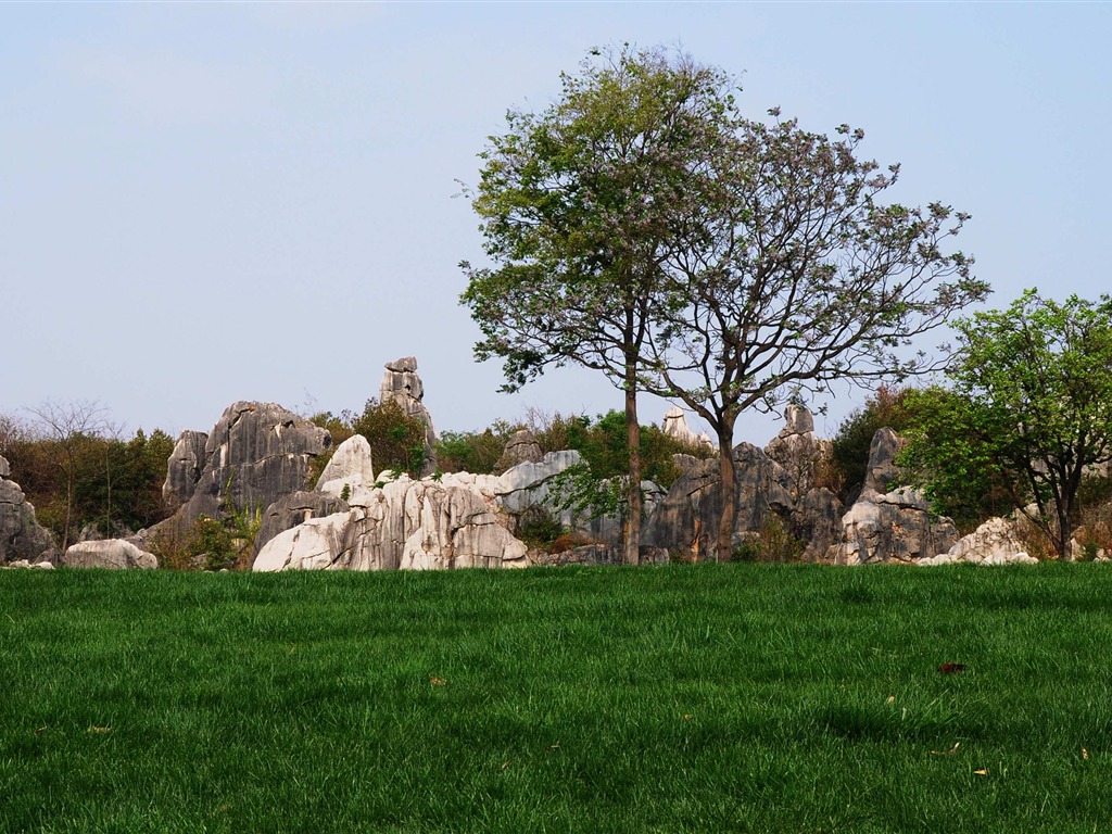 Каменный лес в провинции Юньнань линии (2) (работ киданей волка) #28 - 1024x768