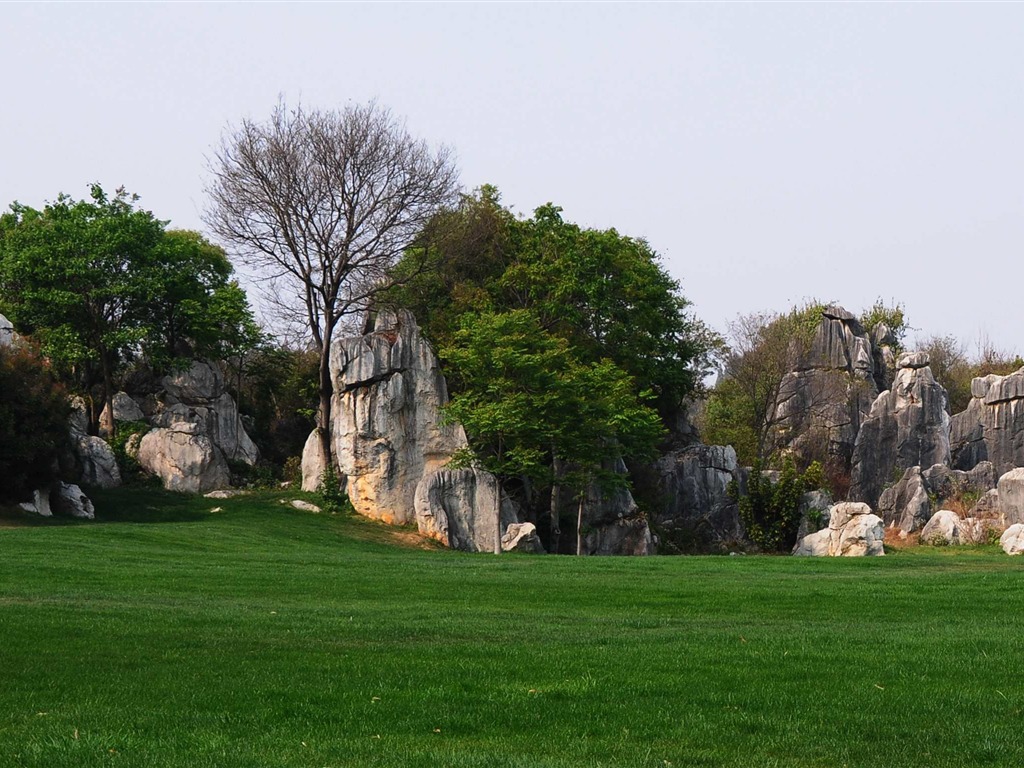 Каменный лес в провинции Юньнань линии (2) (работ киданей волка) #34 - 1024x768