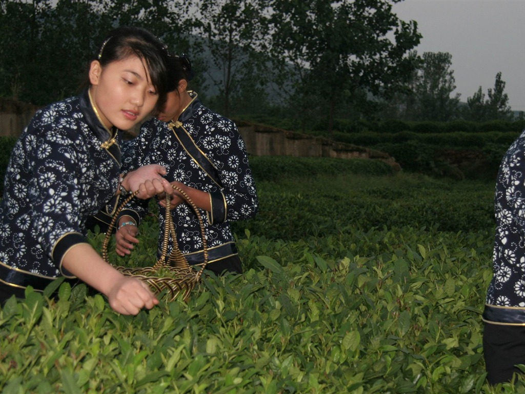 Landschaftsfotografie (4) (Li Shanquan Werke) #2 - 1024x768