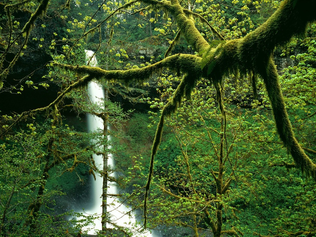 Cascada arroyos fondo de pantalla (7) #6 - 1024x768