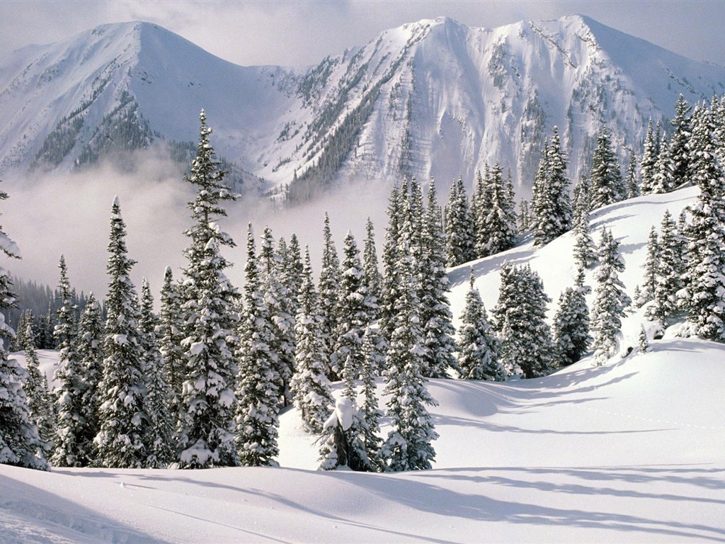 Sníh širokoúhlý tapety (1) #19 - 1024x768