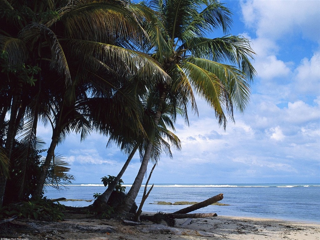 Fonds d'écran paysage de plage (6) #20 - 1024x768