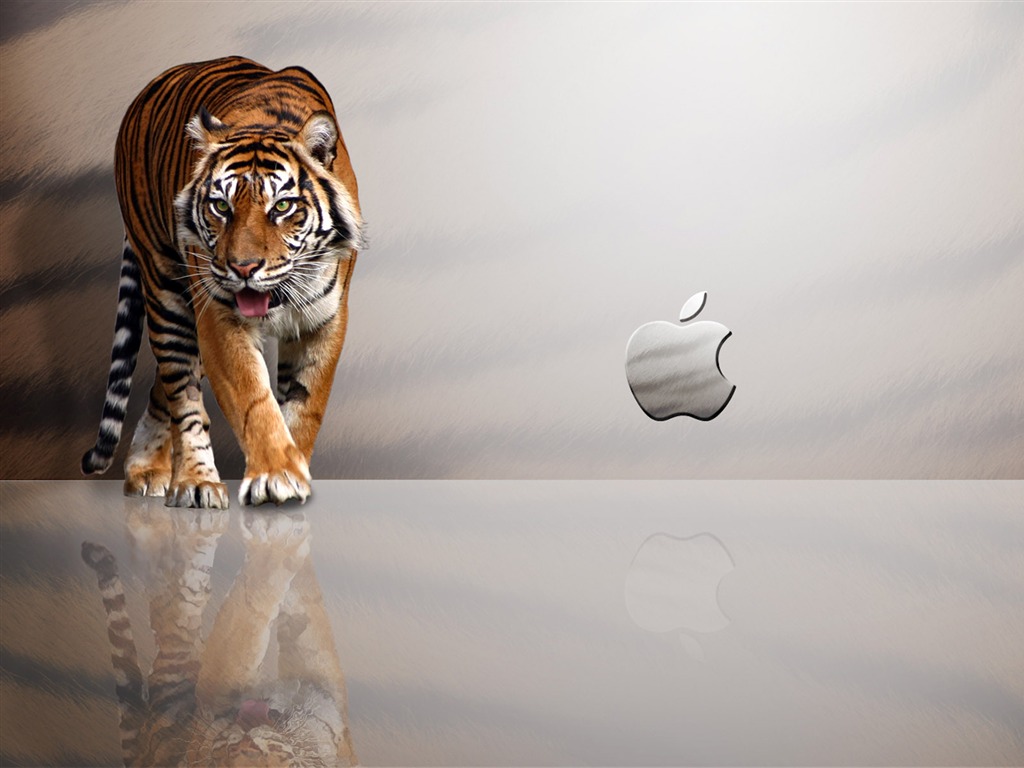 album Apple wallpaper thème (28) #8 - 1024x768