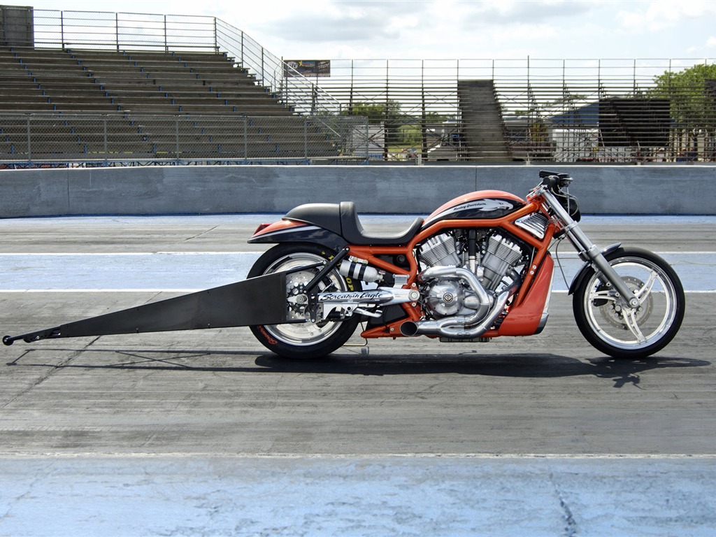Harley-Davidson Wallpaper Album (2) #13 - 1024x768