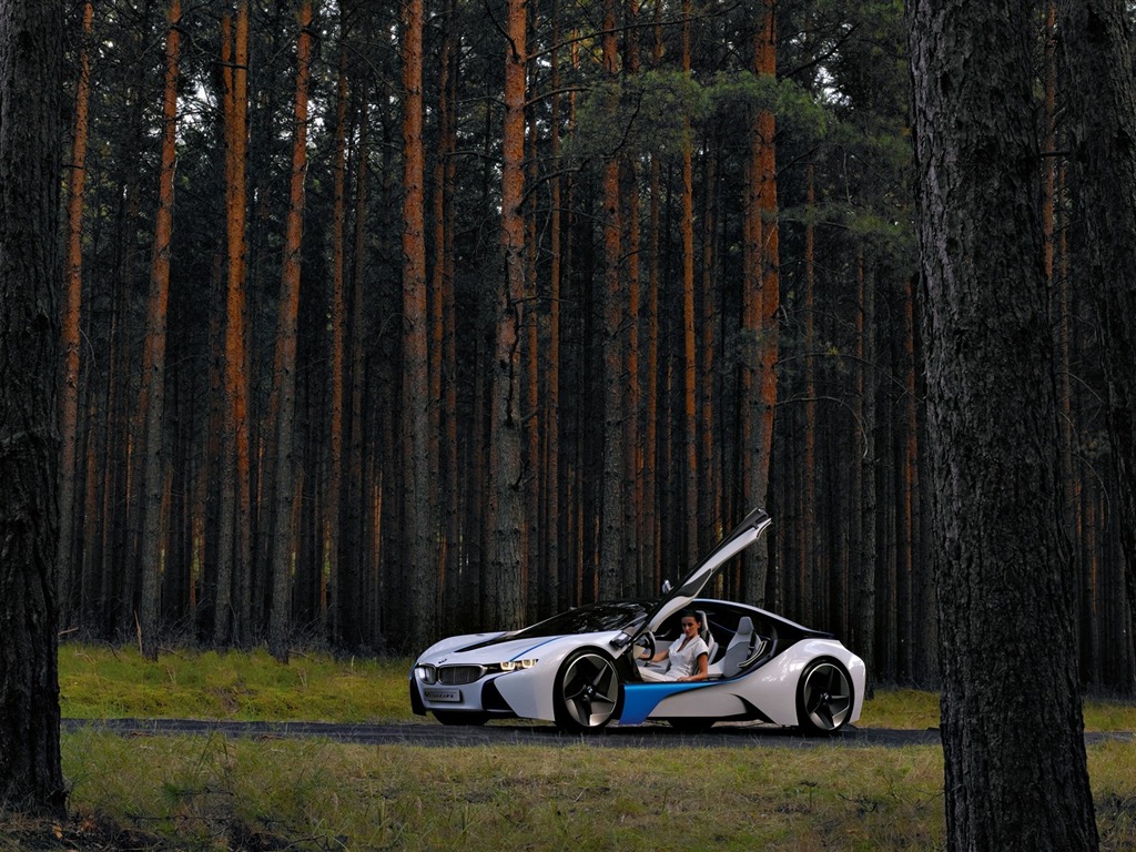 Fond d'écran BMW concept-car (2) #12 - 1024x768