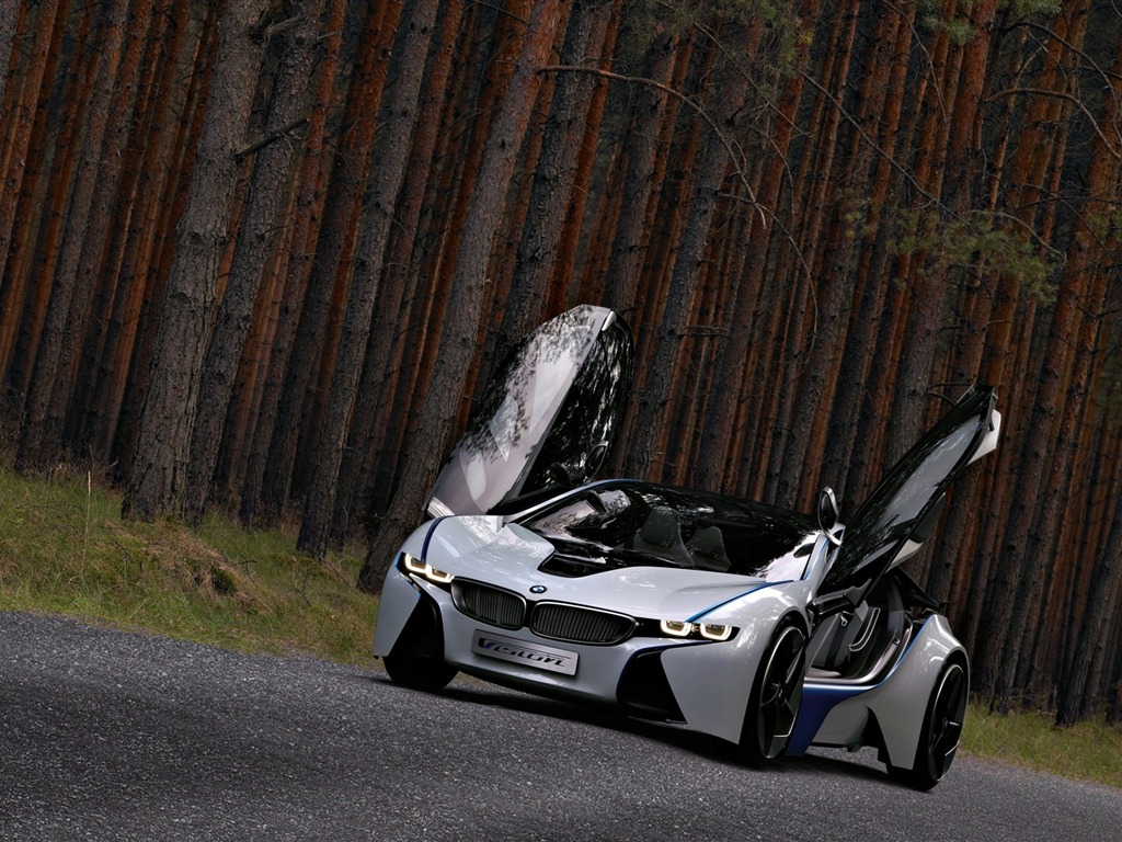 Fond d'écran BMW concept-car (2) #13 - 1024x768
