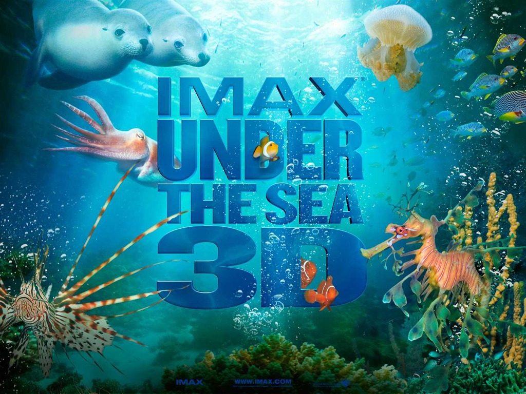 Under the Sea 3D 海底世界3D 高清壁纸48 - 1024x768