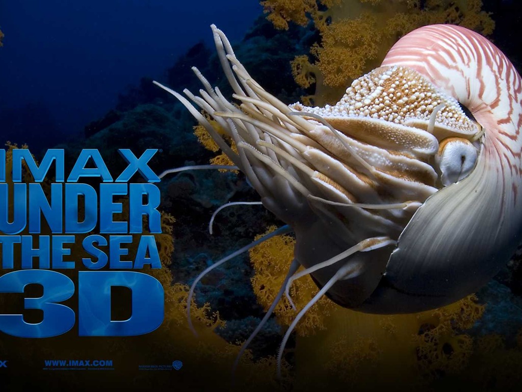 Under the Sea 3D 海底世界3D 高清壁纸49 - 1024x768