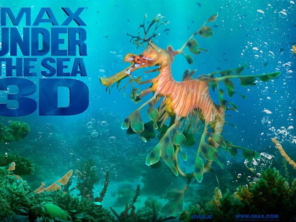 Under the Sea 3D HD Wallpaper #50 - 1024x768