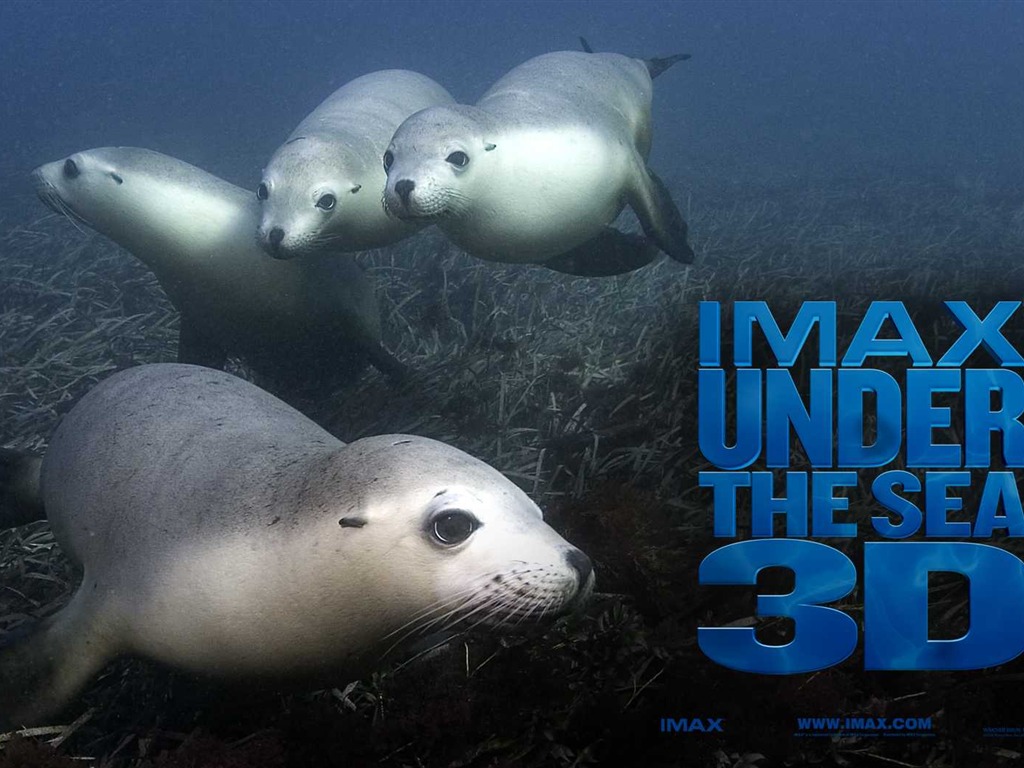 Under the Sea 3D HD Wallpaper #51 - 1024x768
