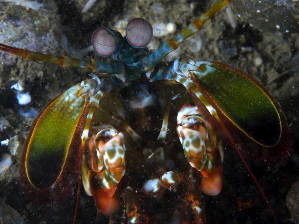 Dans le cadre du fond d'écran Sea 3D HD #15 - 1024x768