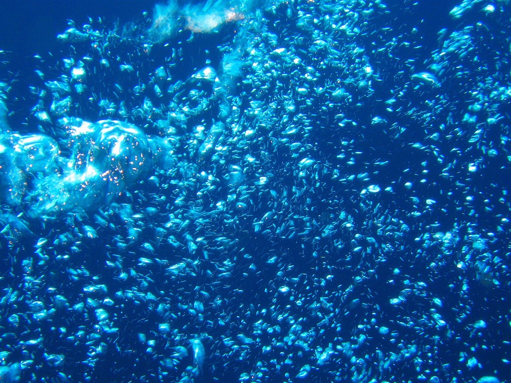 Zábava Underwater World (4) #23 - 1024x768