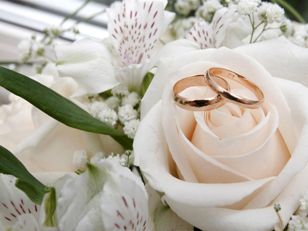Свадьбы и свадебные кольца обои (1) #2 - 1024x768