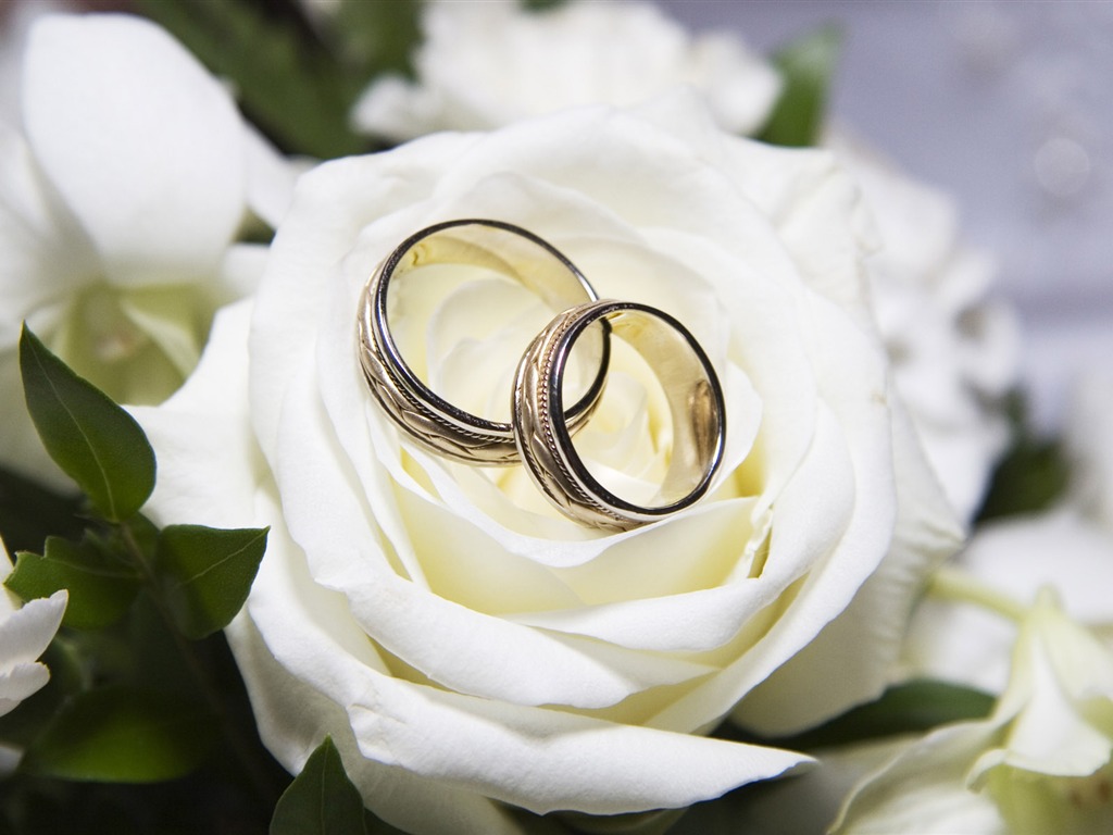 Bodas y fondos de escritorio de anillo de bodas (1) #3 - 1024x768