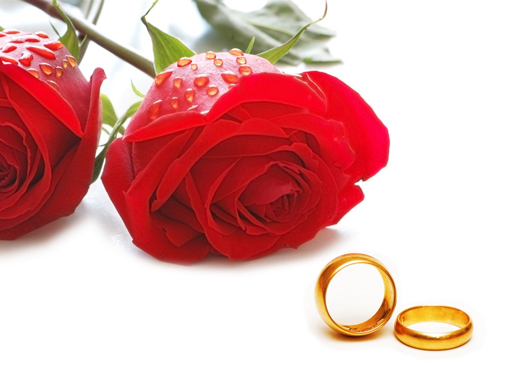 Mariage et papier peint anneau de mariage (1) #12 - 1024x768