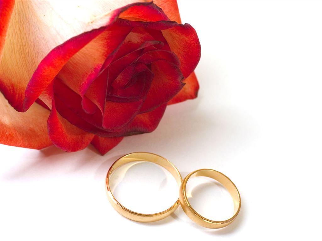 Свадьбы и свадебные кольца обои (2) #6 - 1024x768
