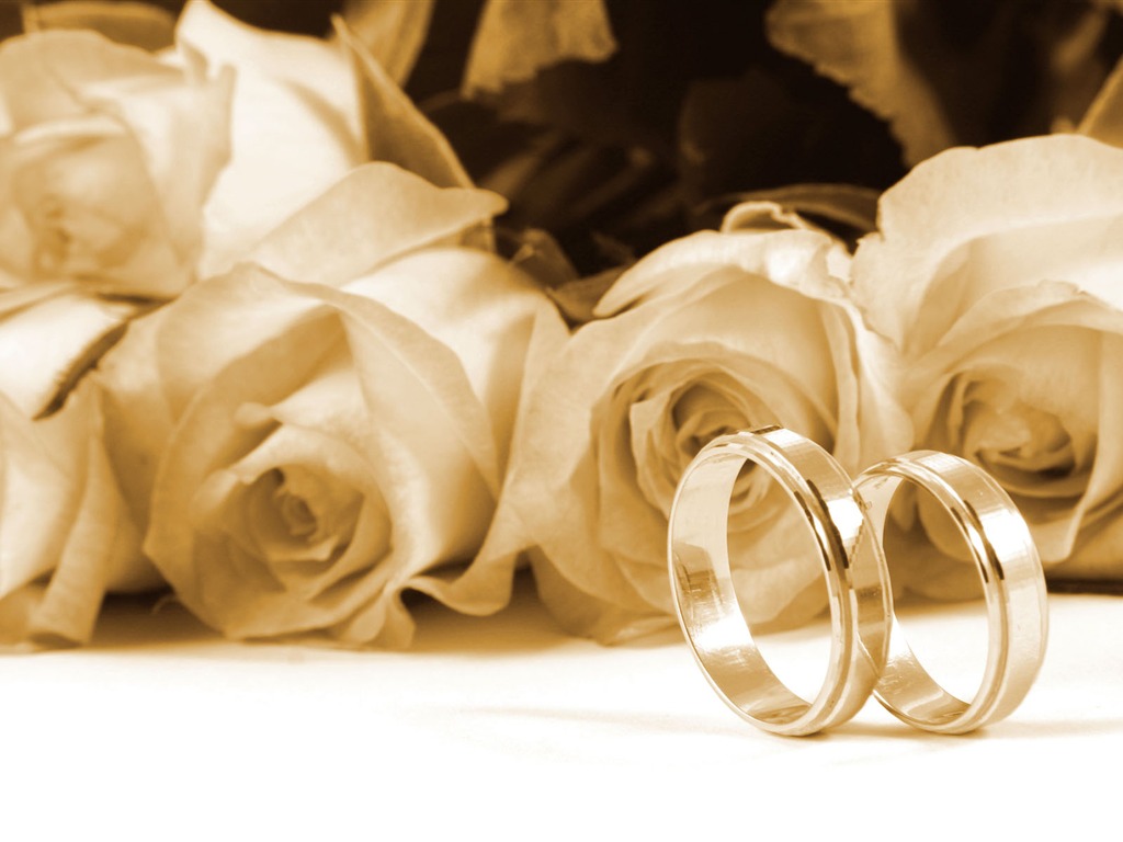 Bodas y fondos de escritorio de anillo de bodas (2) #9 - 1024x768