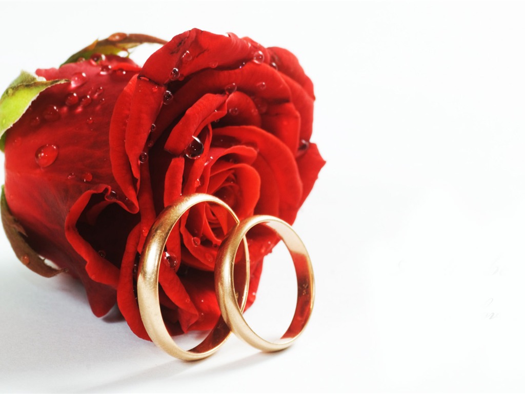 Свадьбы и свадебные кольца обои (2) #11 - 1024x768