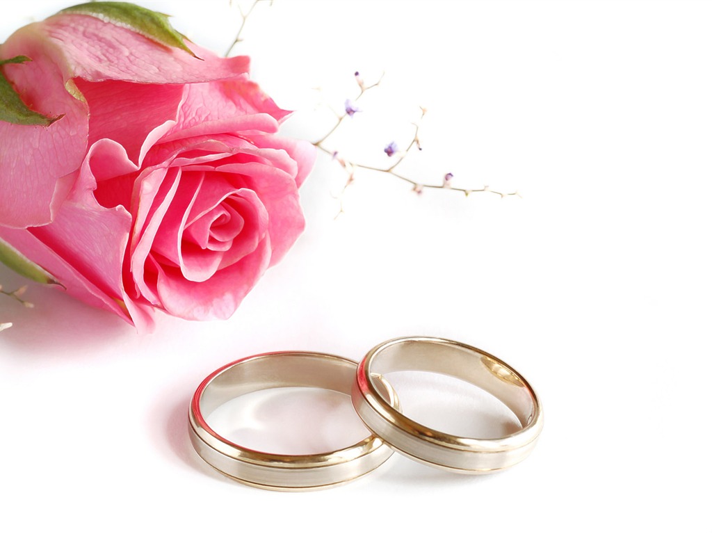 Mariage et papier peint anneau de mariage (2) #12 - 1024x768