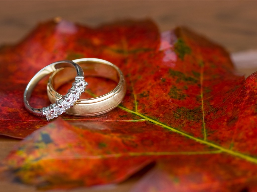 Свадьбы и свадебные кольца обои (2) #16 - 1024x768