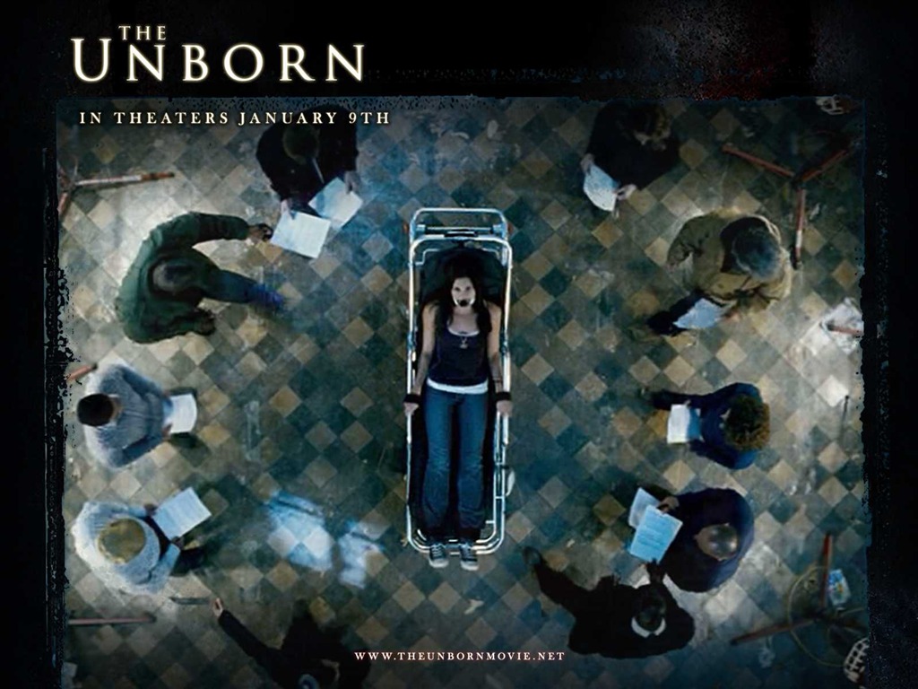 The Unborn 婴灵恶泣 高清壁纸11 - 1024x768