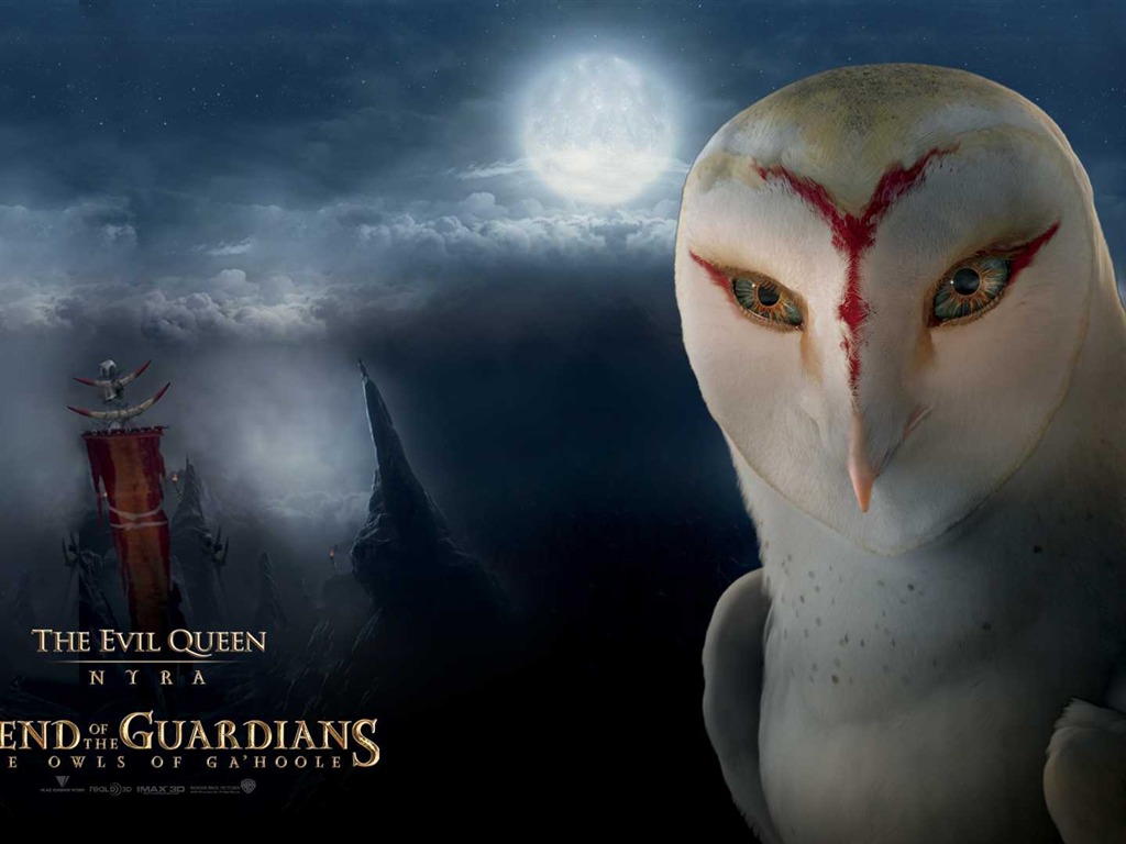 Legend of the Guardians: The Owls of Ga'Hoole 守卫者传奇(一)14 - 1024x768