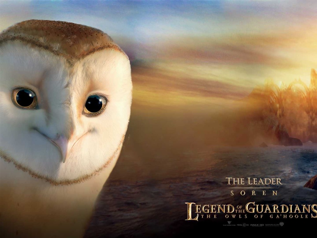Legend of the Guardians: The Owls of Ga'Hoole 守衛者傳奇(一) #16 - 1024x768