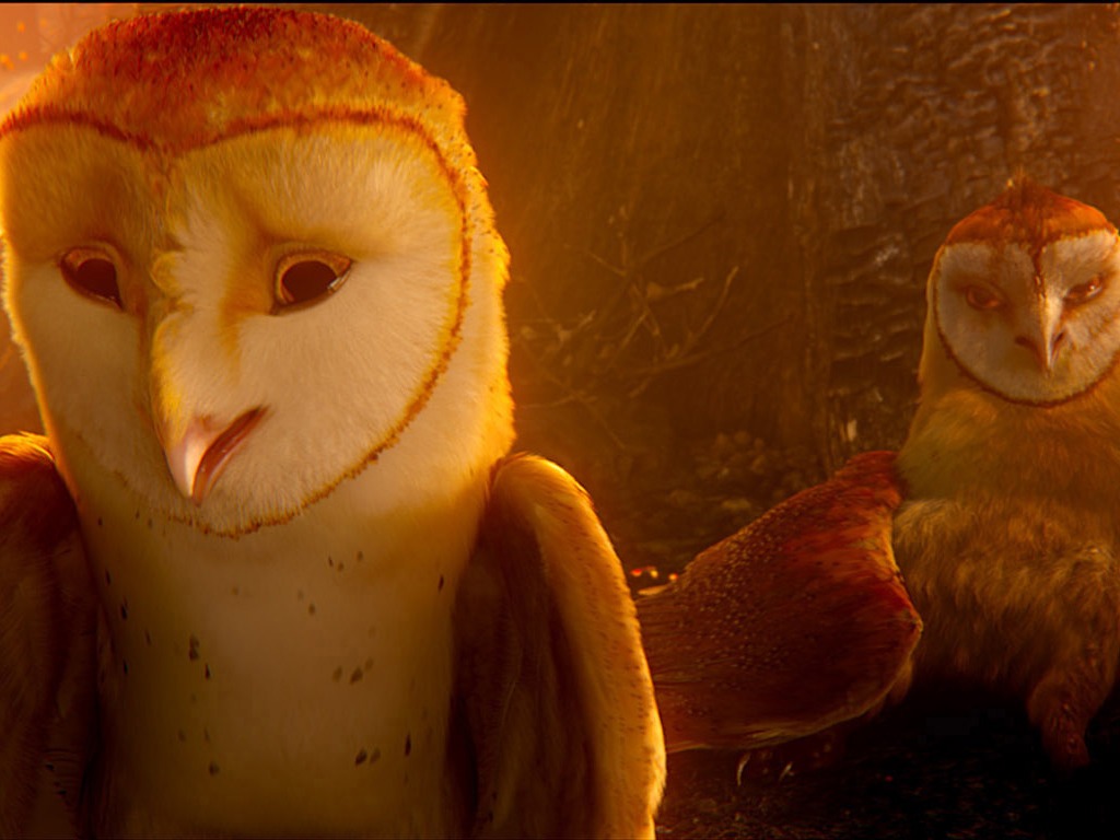 Legend of the Guardians: The Owls of Ga'Hoole (2) #23 - 1024x768