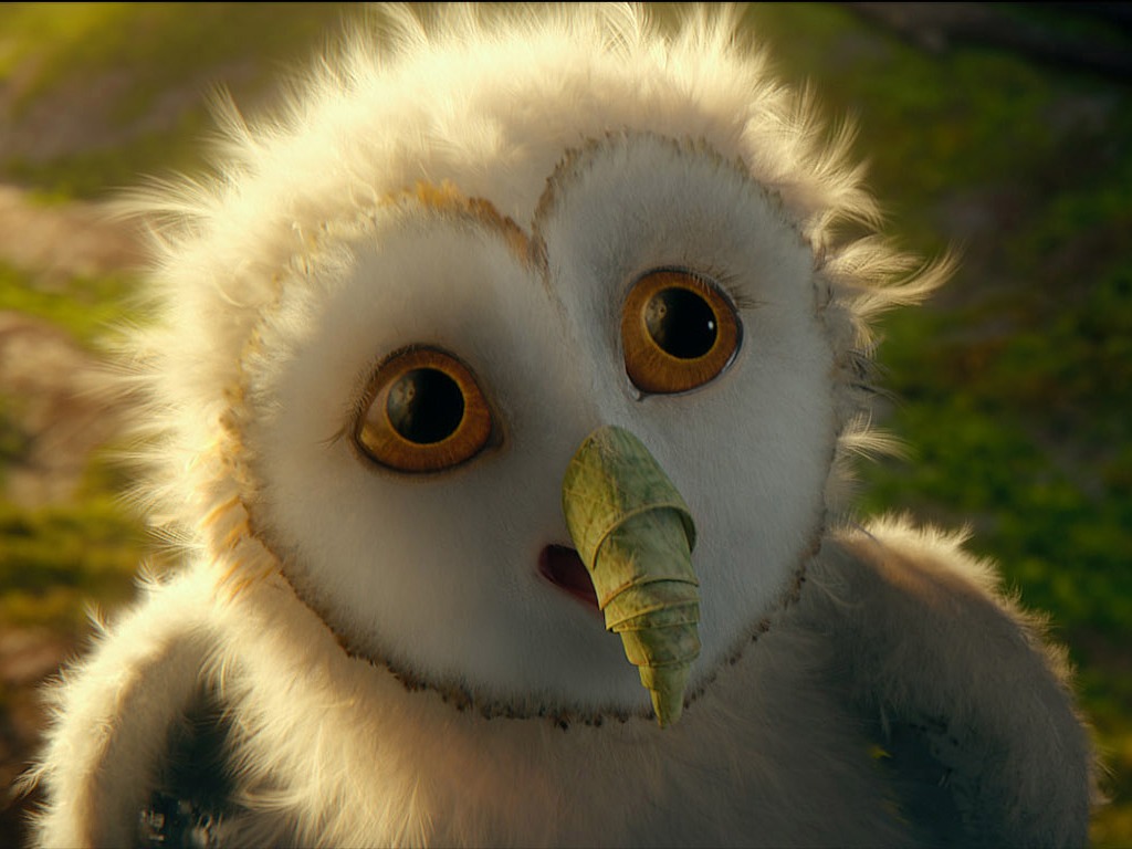 Legend of the Guardians: The Owls of Ga'Hoole (2) #25 - 1024x768