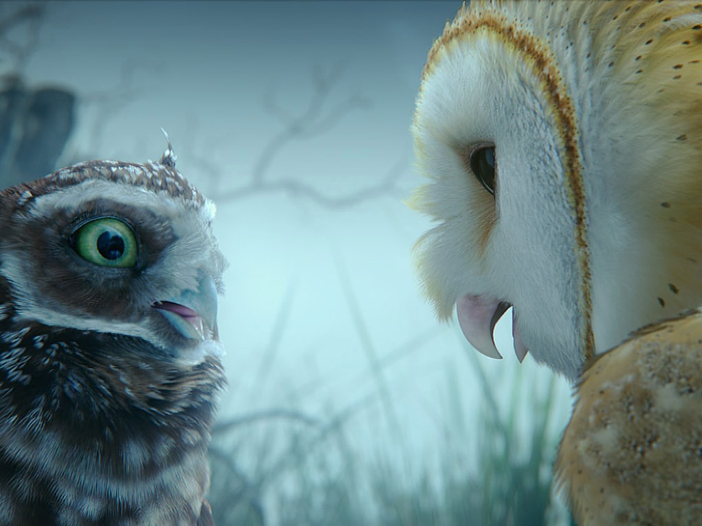 Legend of the Guardians: The Owls of Ga'Hoole (2) #28 - 1024x768
