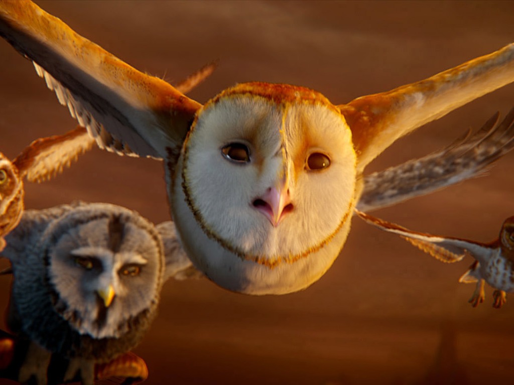 Legend of the Guardians: The Owls of Ga'Hoole (2) #37 - 1024x768