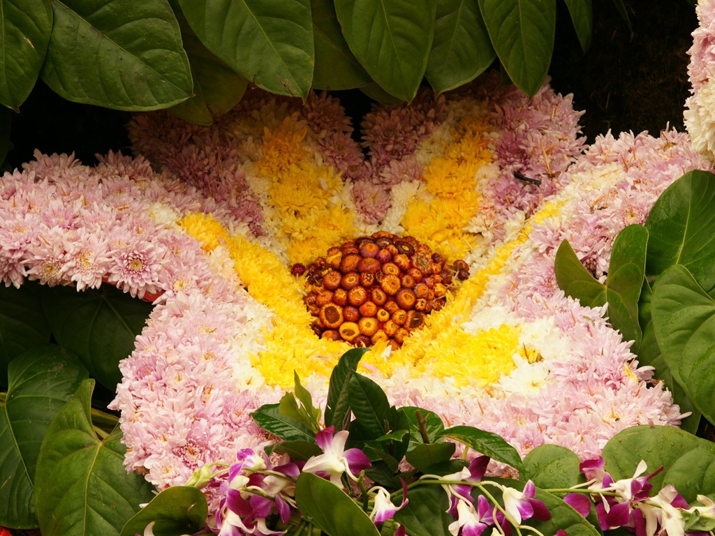 七彩花朵装饰 壁纸(二)3 - 1024x768