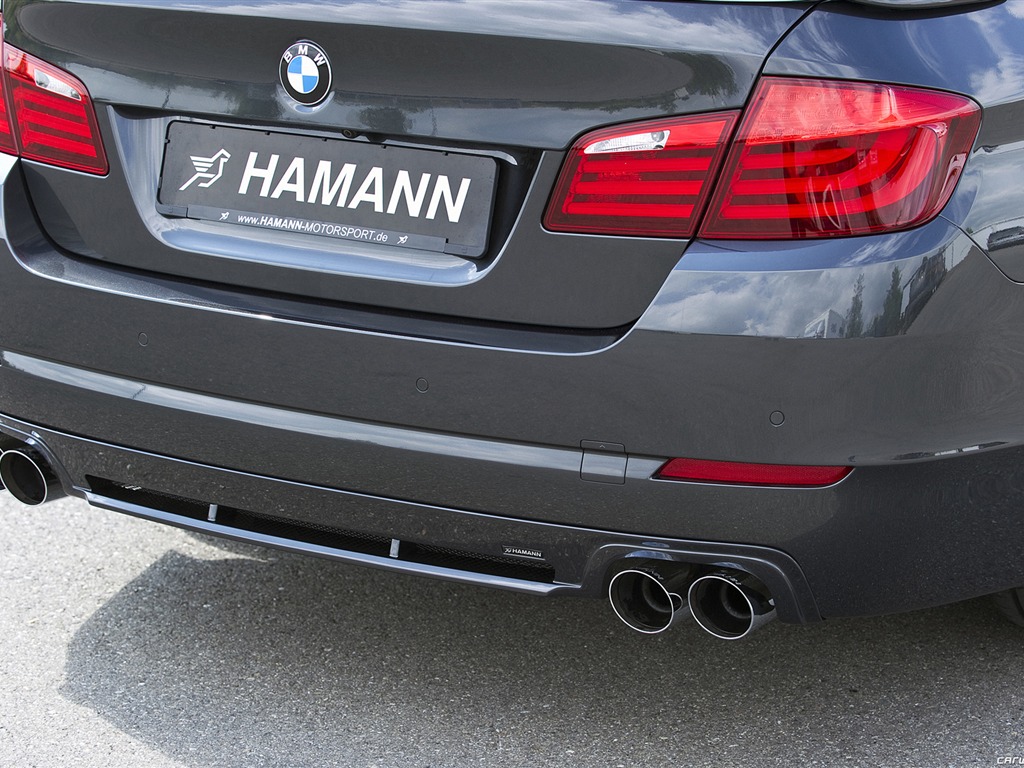 Hamann BMW serie 5 F10 - 2010 fondos de escritorio de alta definición #18 - 1024x768