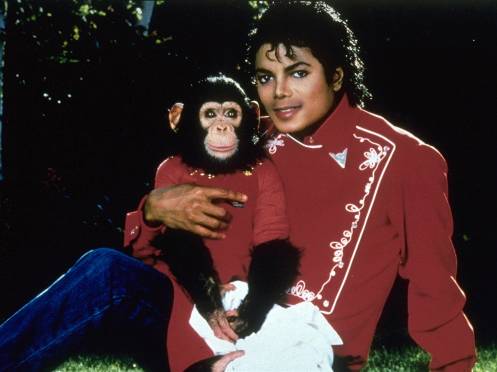 Michael Jackson tapety (1) #2 - 1024x768