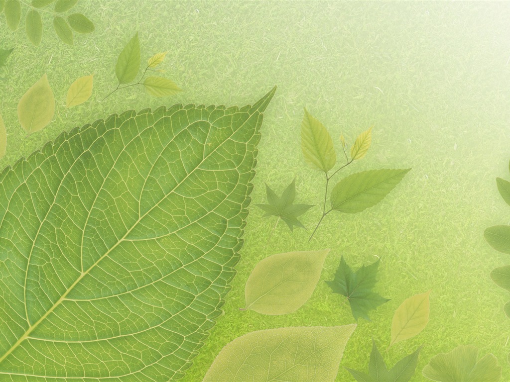 Green et de papier peint naturelles (4) #6 - 1024x768