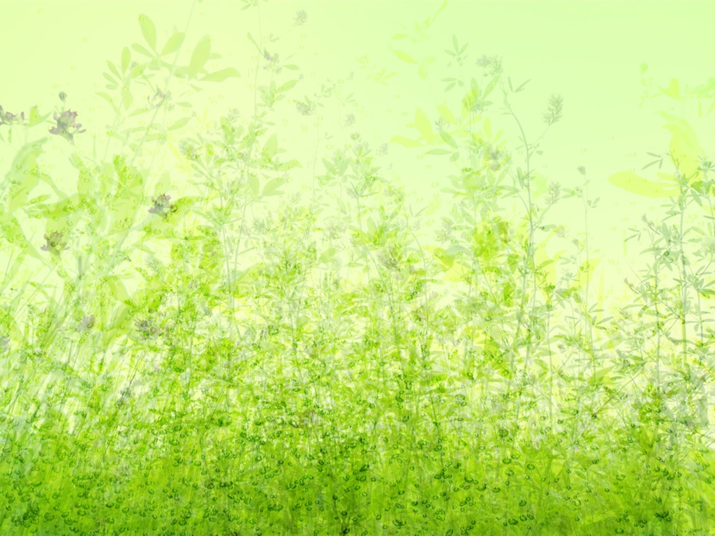 Zelená a přírodní Wallpaper (4) #11 - 1024x768