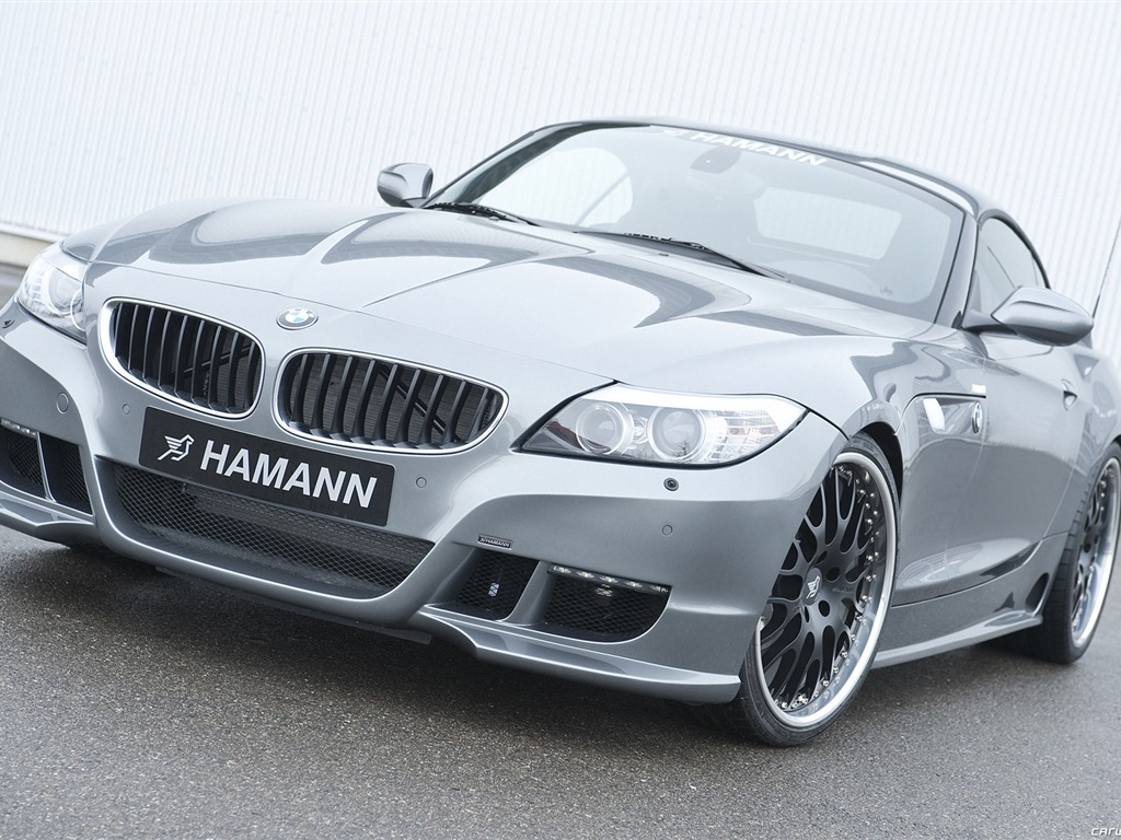 Hamann BMW Z4 E89 - 2010 宝马1 - 1024x768