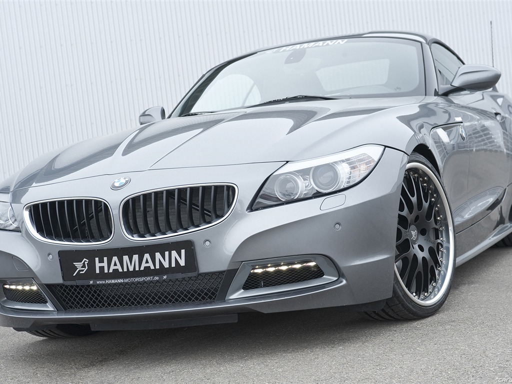 Hamann BMW Z4 E89 - 2010 宝马8 - 1024x768