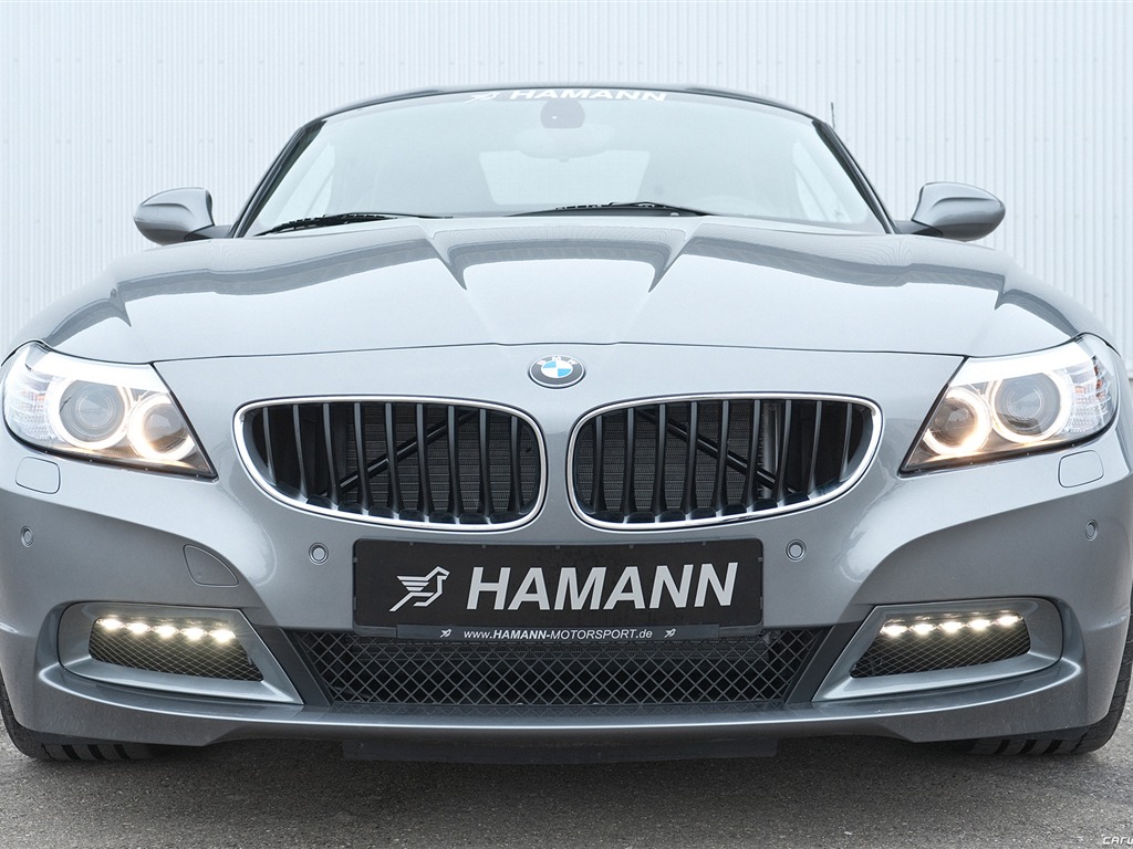 Hamann BMW Z4 E89 - 2010 宝马15 - 1024x768