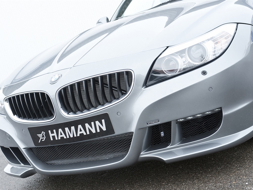 Hamann BMW Z4 E89 - 2010 宝马17 - 1024x768