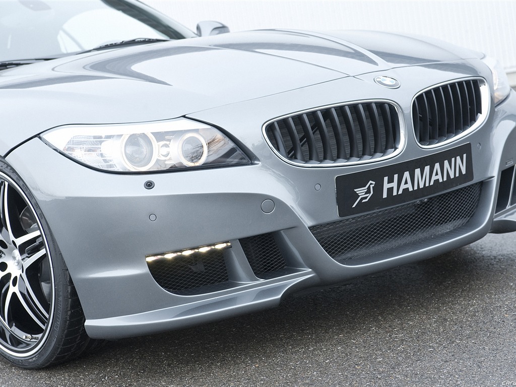 Hamann BMW Z4 E89 - 2010 fondos de escritorio de alta definición #18 - 1024x768