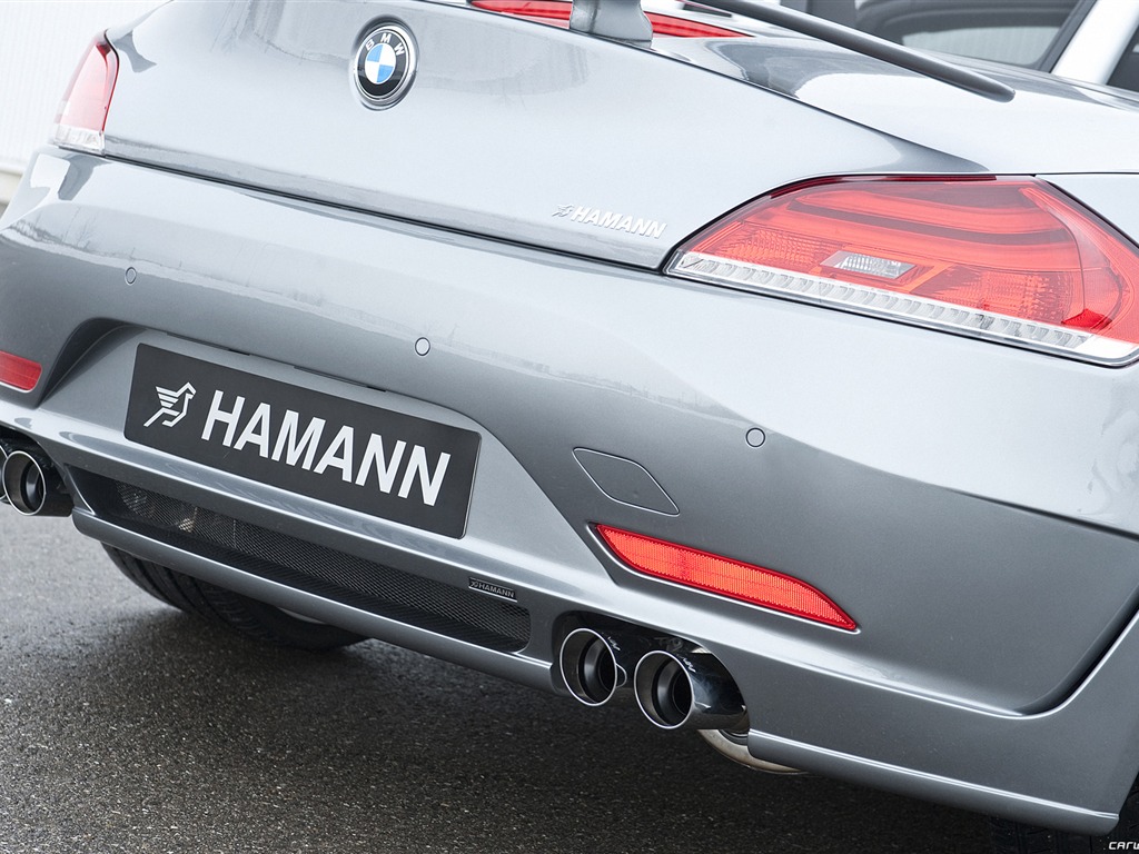 Hamann BMW Z4 E89 - 2010 fondos de escritorio de alta definición #20 - 1024x768