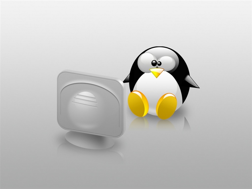 Linux tapety (3) #13 - 1024x768