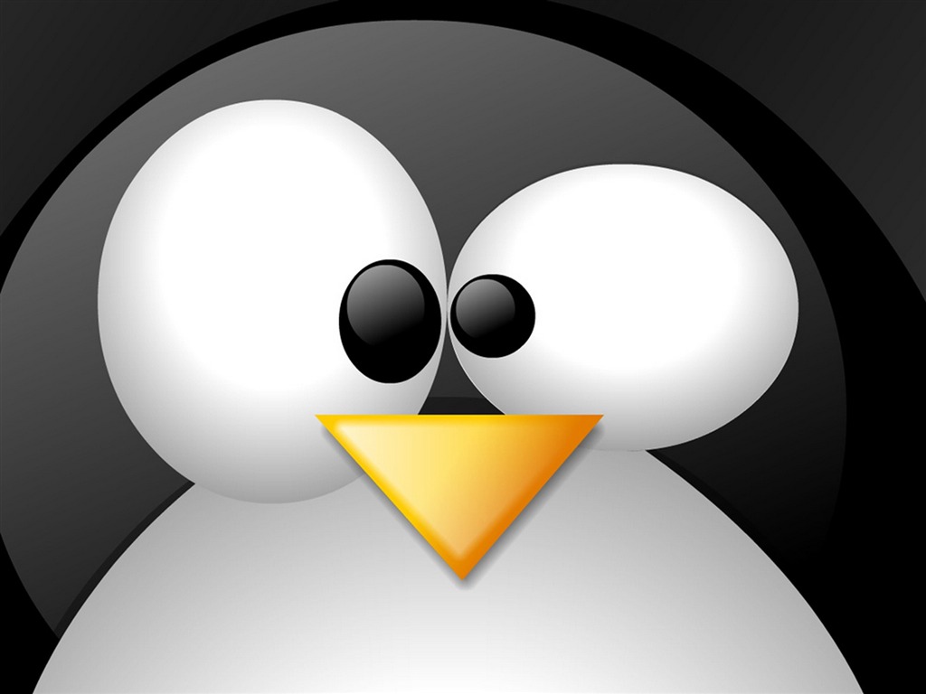 Fond d'écran Linux (3) #16 - 1024x768