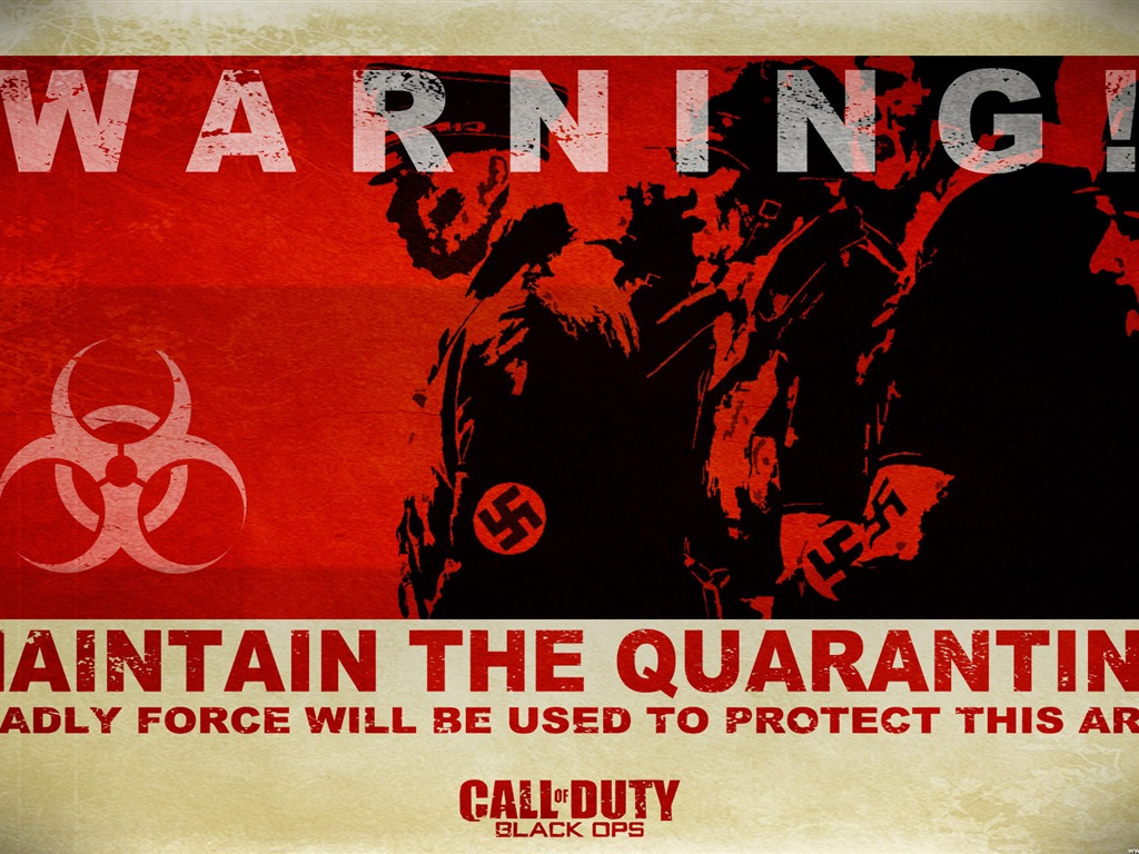 Call of Duty: Black Ops HD Wallpaper (2) #6 - 1024x768