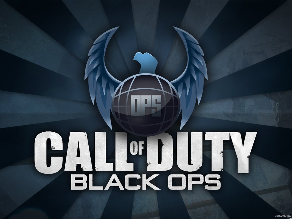 Call of Duty: Black Ops HD Wallpaper (2) #13 - 1024x768